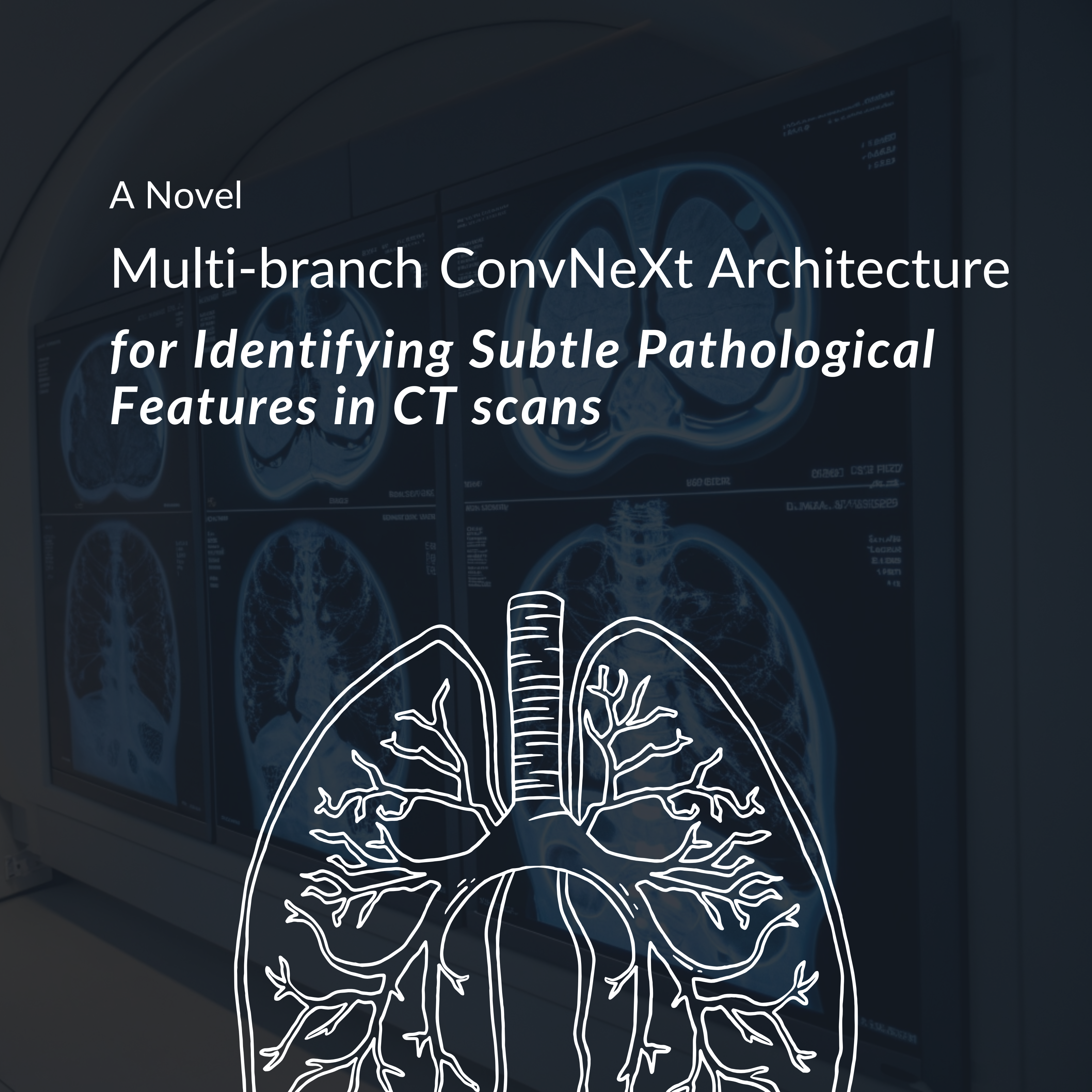 MedNeXt-Branch